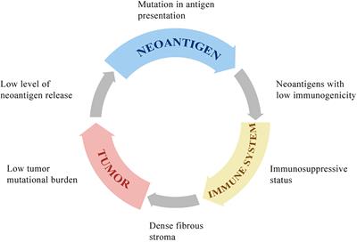 Immunotherapy for Hepatocellular Carcinoma: Current Limits and Prospects